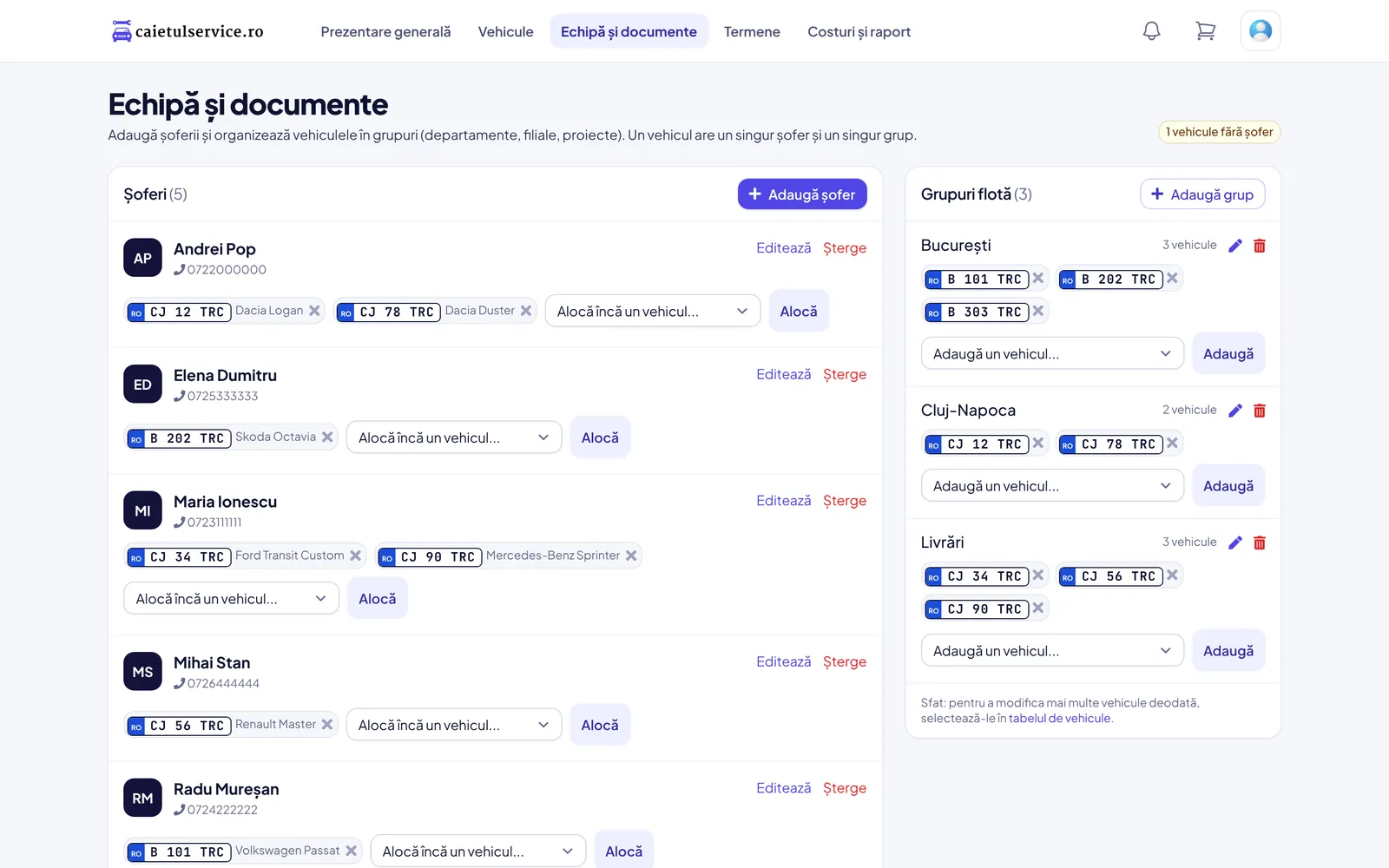 Pagina echipei cu șoferi, grupuri de flotă și tipuri de documente